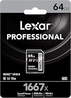Lexar Professional 1667x SDXC