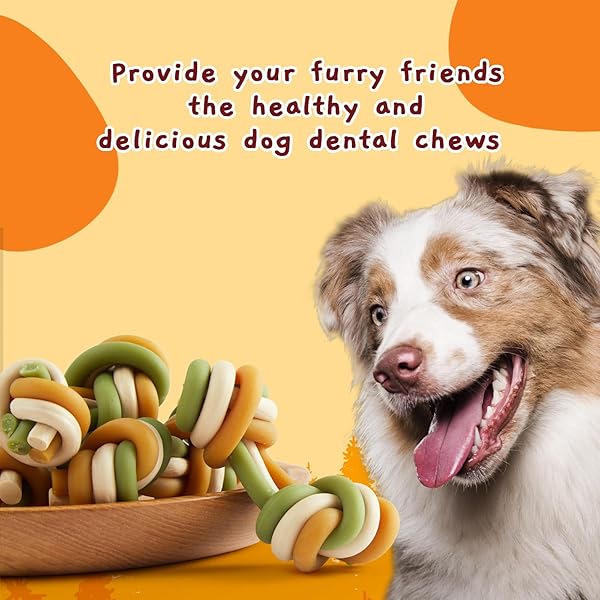 JUNGLE CALLING RAWHIDE FREE DOG DENTAL TREATS, TRIPLE FLAVOR DENTAL CHEWS FOR DOGS, EASY TO DIGEST, TEETH CLEAN DOG BONES FOR SMALL DOGS, 10.6 OZ