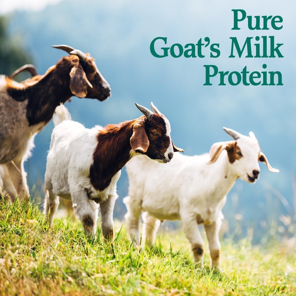 Garden of Life Protein Powder Goatein Complete Goat's Milk Protein