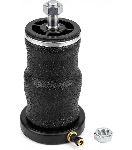 Amazon.com: Automann Actuator Dock Lock Hendrickson/Turner ABSZ70