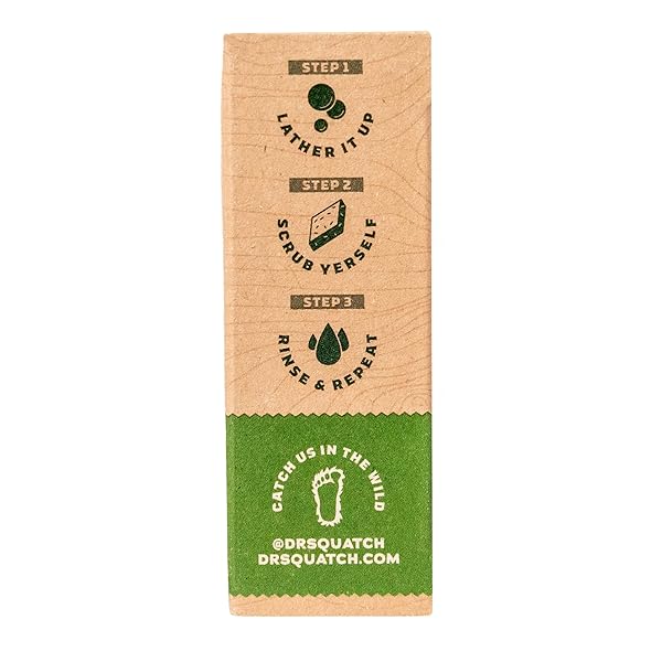 DR. SQUATCH ALL NATURAL BAR SOAP FOR MEN WITH ZERO GRIT, ALPINE SAGE