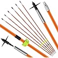 HANDBAIGE Archery 6pcs 32 Inches Fiberglass Shaft Fishing Arrows 8mm Bowfishing Arrow with Broadheads for Compound and Recurve Bow Fishing Hunting