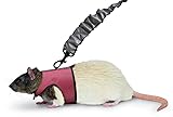 Kaytee Comfort Harness and Stretchy