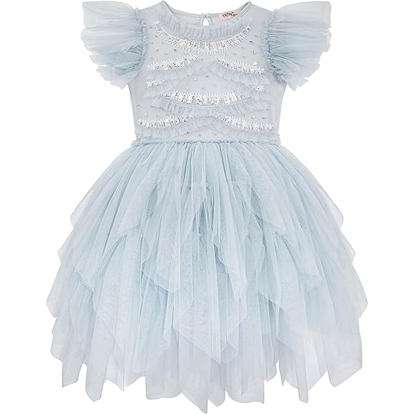 Amazon.com: Embroidered Tulle Dress Tiered Layered Flower