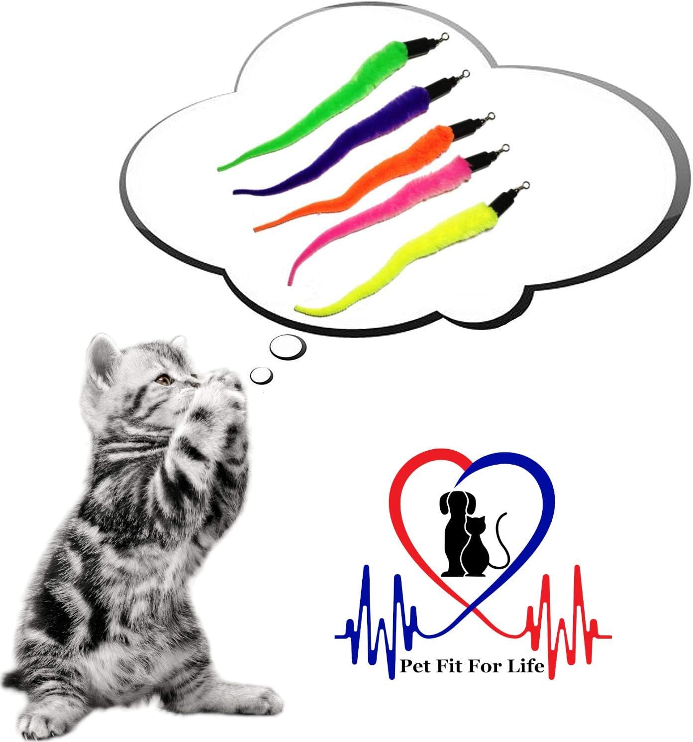 Pet Fit For Life 5 Piece Worms Teaser and Exerciser for Cat and Kitten - Cat Toy Interactive Cat Wand : Pet Supplies