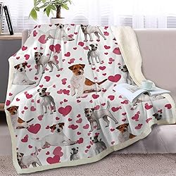 BlessLiving Red Hearts Dog Cat Print Plush Blanket