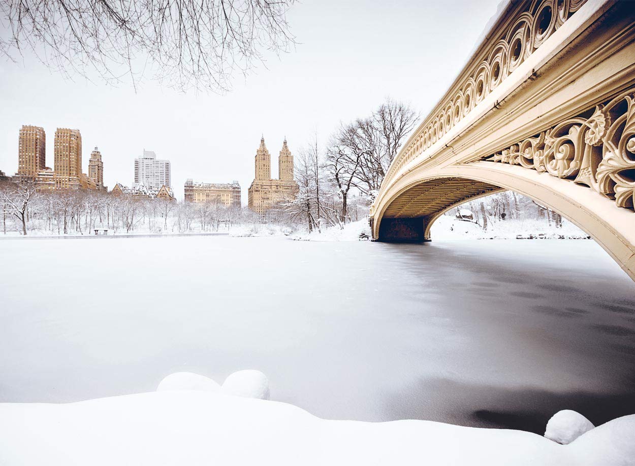 Central Park New York Christmas Cards Boxed With Envelopes Set of 12 Holiday Cards and 12 Envelopes. Xmas Cards Made in USA