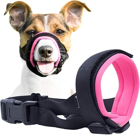 chew guard leash protector