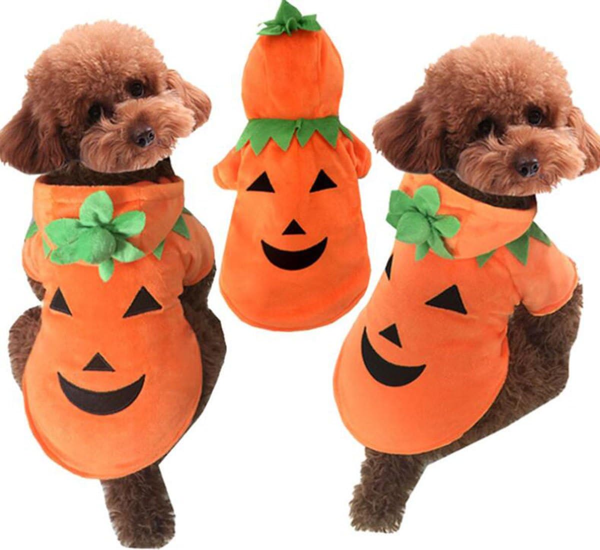 Natural Home Pet Dog Halloween Costumes Lovely and Comfortable Pumpkin
