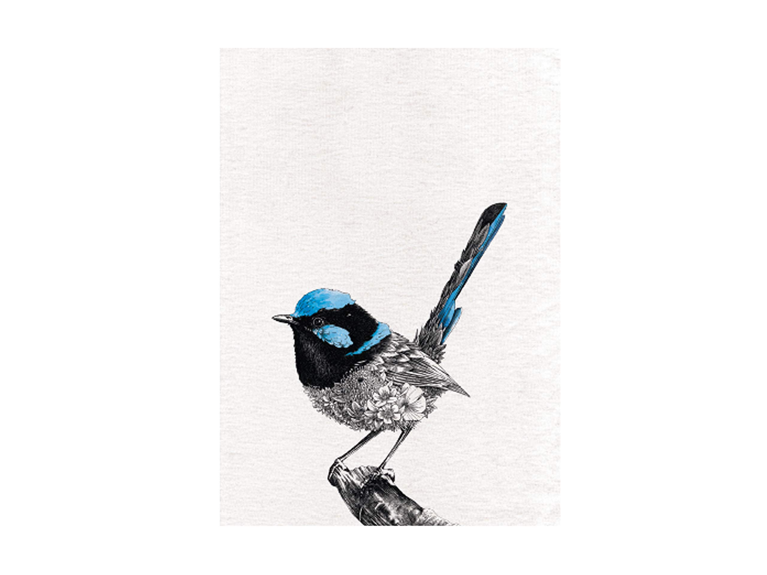 Maxwell & Williams Marini Ferlazzo Birds Printed Tea Towel with Superb Fairy-wren Design, 1% Cotton, Black/White, 5 x 7 cm
