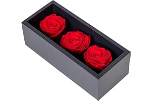 KHIVA Graduation Preserved Roses in Wood Box, 3 Red Birthday Flowers for Delivery Prime, Everlasting Flowers, Natural Forever Roses That Last For Years, Eternal Rose, Gift Delivery for Mom