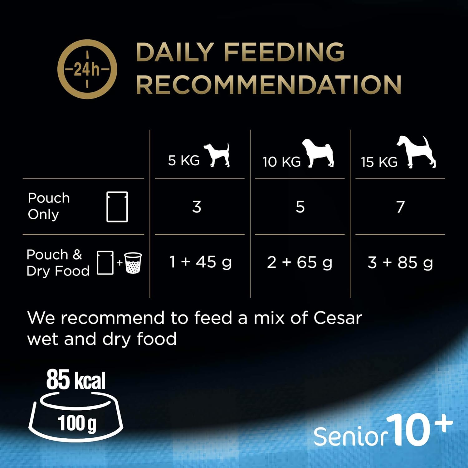CESAR Senior 10+ Deliciously Fresh Wet Dog Food Pouches Aged Dogs, Mixed Selection in Jelly - Image 5
