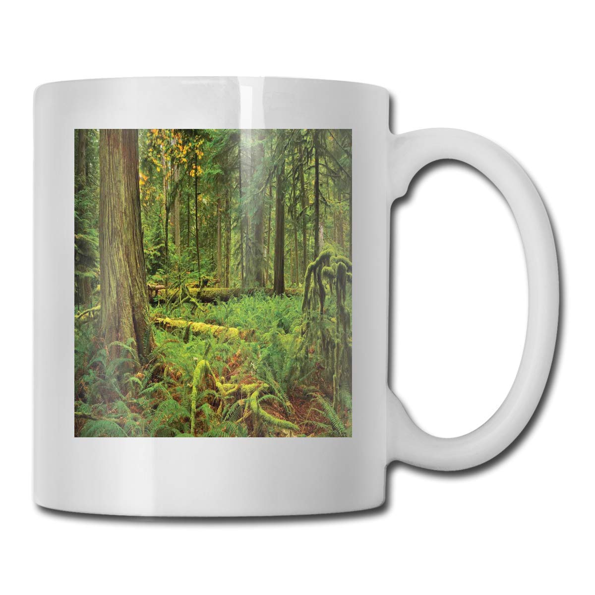 Funny Ceramic Novelty Coffee Mug 11oz,Pegasus King Leading in The ...