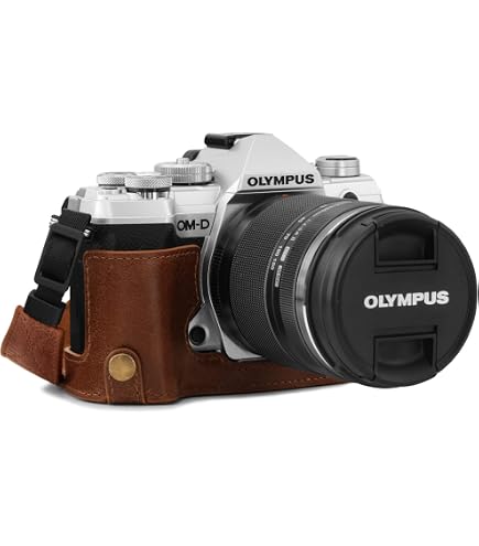 Amazon.com : 35 RC Case, BolinUS Handmade Genuine Real Leather