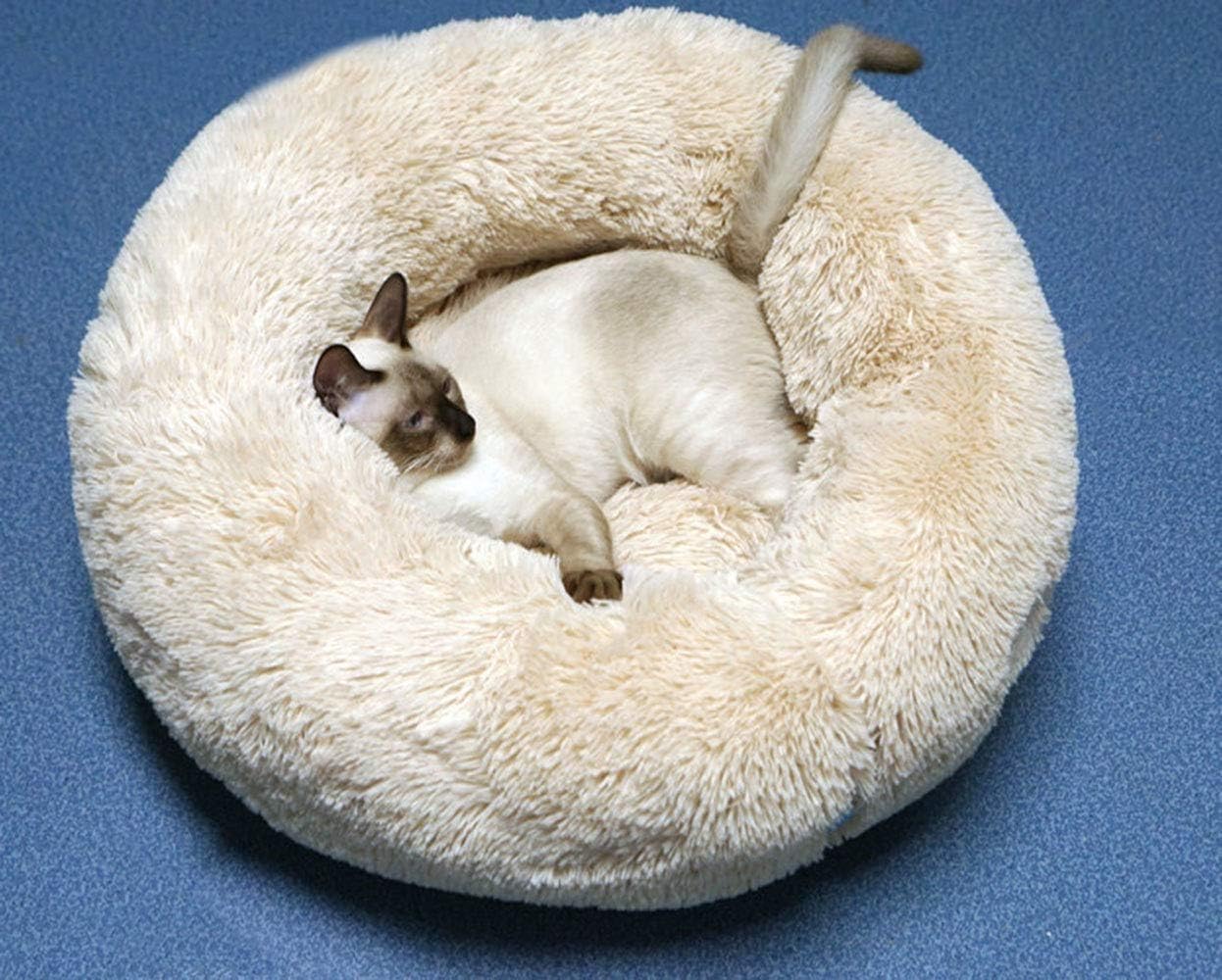 BODISEINT Modern Soft Plush Round Pet Bed for Cats or Small Dogs, Mini Medium Sized Dog Cat Bed Self Warming Autumn Winter Indoor Snooze Sleeping Cozy Kitty Teddy Kennel (M(23.6”Dx7.9 H), Champagne) : Pet Supplies