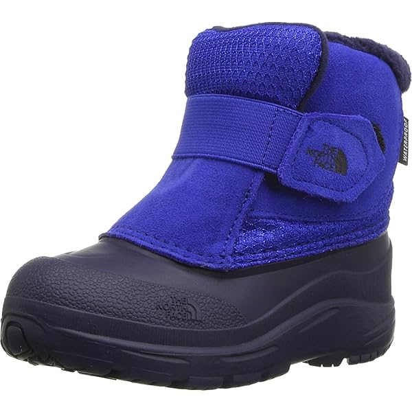 toddler alpenglow north face