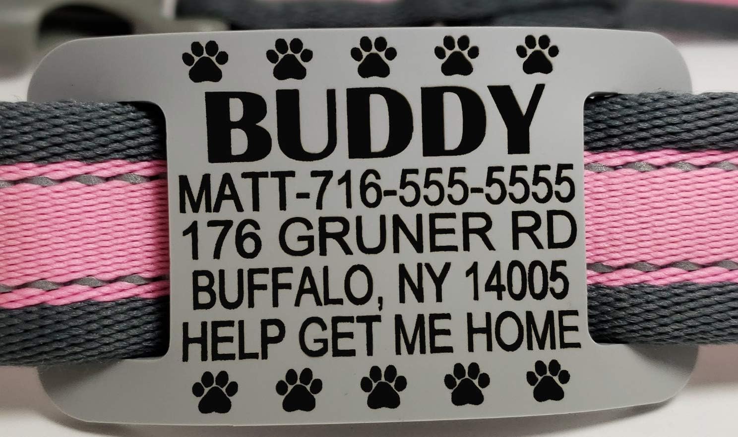 rubber dog name tags