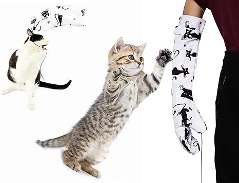 cat proof bearded dragon cage