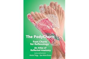 The PodyCharts Foot Charts for Reflexology: An atlas of reflected anatomy