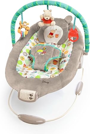 disney baby bouncer uk