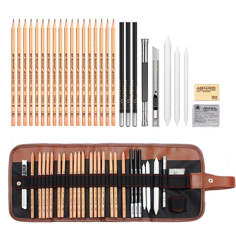 AIPLUX Sketching Pencil Set, 29 Piece Professional Sketching & Drawing Art Kit with Carrying Bag for Artist, Kids, Beginners - Includes Graphite Pencils, Charcoal Pencils, Paper Erasable Pen etc