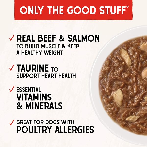 STELLA & CHEWY’S GRASS FED BEEF & WILD CAUGHT SALMON SHREDRS – PREMIUM DOG FOOD POUCHES – PERFECT FOR PICKY EATERS- 12 PACK, 2.8OZ EACH