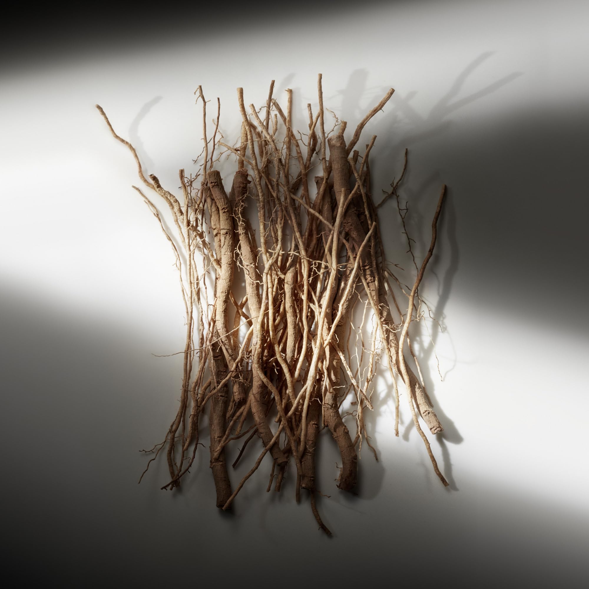 RALPH LAUREN FRAGRANCES - Ralph's Club - Eau de Parfum - Men's Cologne - Woody & Fresh - With Lavandin, Sage, Vetiver, and Cedarwood - Medium Intensity