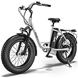 Hiboy EX6 Electric Bike for Adults, 20" 4.0 Fat