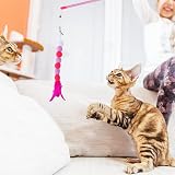 Cobee Cat Feather Toys Soft Wand Toy with Bell Pompom 80 cm Cat Teaser view 6
