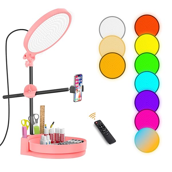 SELFIE LIGHT KIT FOR DESK AND LAPTOP,55W DIMMABLE...