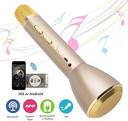 platinum karaoke speaker