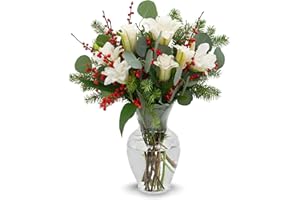 Stargazer Barn - Seasonal Splendor Bouquet (Includes Glass Vase) - Fresh Flowers for Delivery - Gift for Anniversary, Birthday, Congratulations, Get Well, Graduation, Sympathy, Christmas
