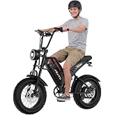 Electric Bike for Adults, 16/20" Fat Tire Ebike for Off Road and Commuting | All Terrains Electric Bicycles with 750W Peak Motor|48V 15AH Removable Battery|20 MPH|40-60 Miles PAS Range
