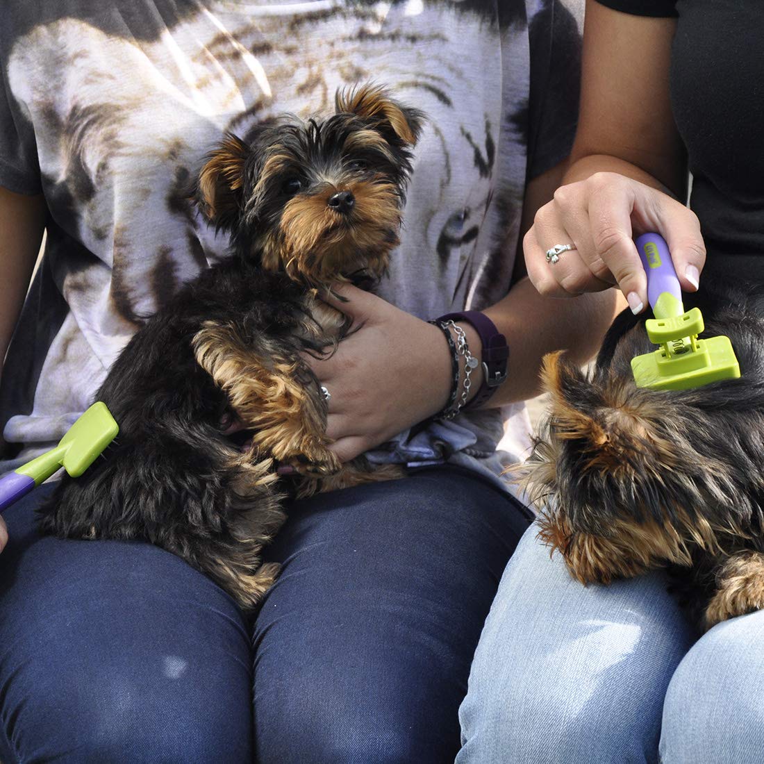 lil pals slicker brush