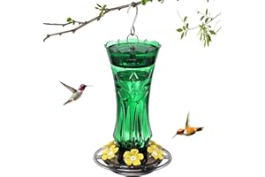 Jealoeur Hummingbird Feeder for Outdoors Hanging, 18 OZ Humming Birds Feeders with 6 Bee Guard Feeding Ports & Built-in Ant Moat, Easy to Clean, Durable Outdoor Garden Decor (Green 1 Pack)