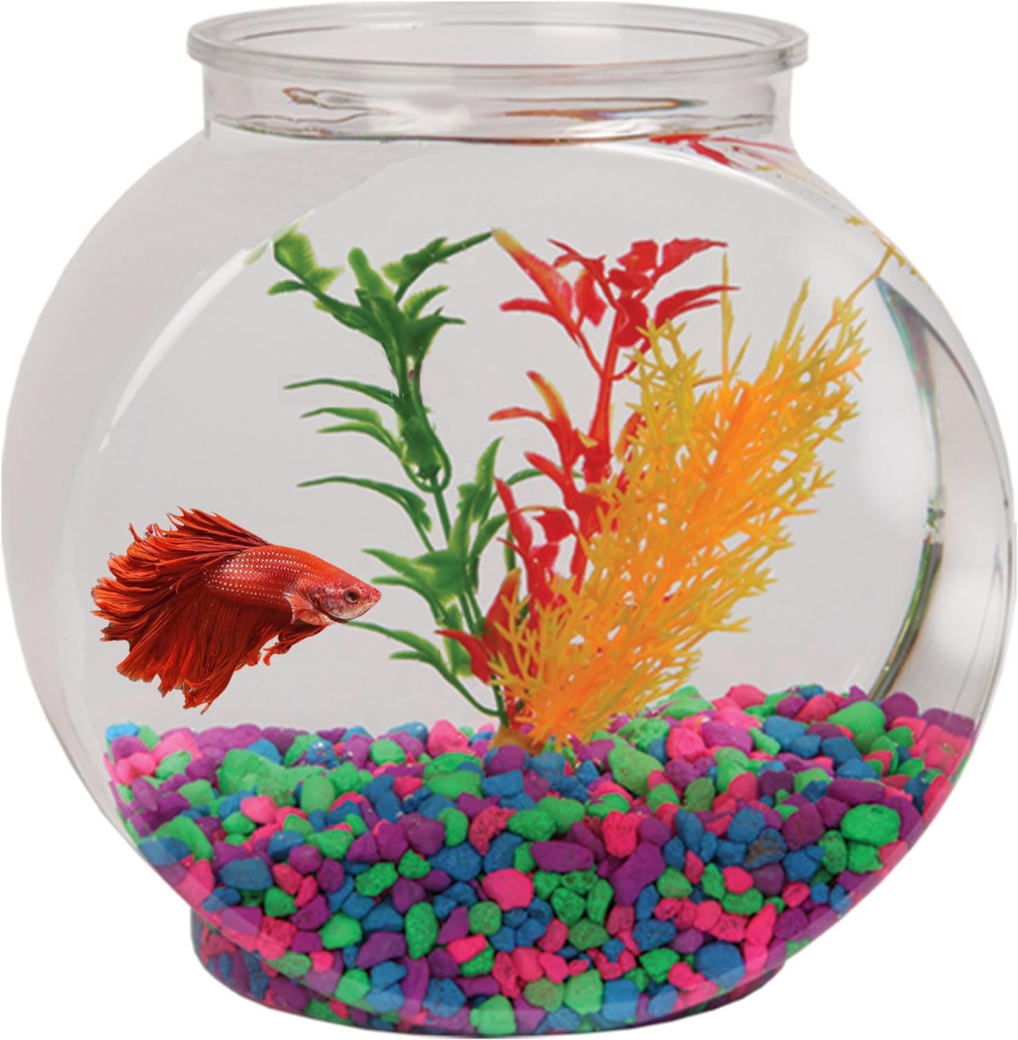 Photo 1 of Koller Products 1-Gallon Fish Bowl, Shatterproof Plastic with Crystal Clear Clarity