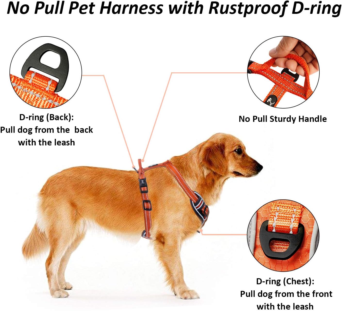 POPETPOP Harnais Chien Corde de Traction pour Chien Sangle