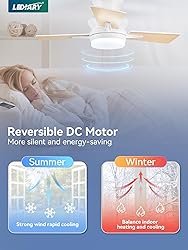 LEDIARY 30 Inch Small Ceiling Fan with Lights and