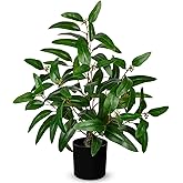 Artificial Plants Indoor with Pot, 19.7" Fake Potted Plants Eucalyptus Leaves, Silk Plant for Home Decor Indoor Plants Artificial for Home Office Bedroom Farmhouse Entry Table Shelf Decor, Deep Green