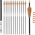 BOWSOUL 31Inch Carbon Arrows for Target Practice Hunting Arrow with Removable Tips for Compound & Recurve Bow(Pack of 12)
