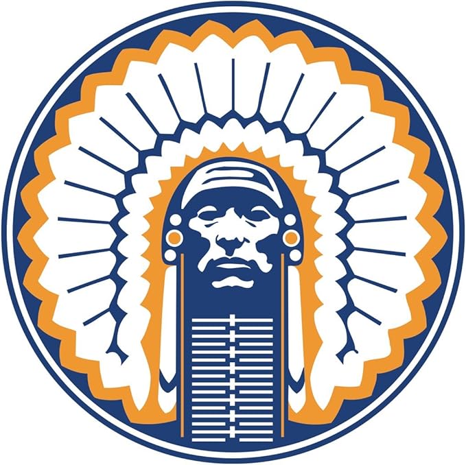 Amazon.com: New Illinois Logo OriginalStickers0563 Set Of Two (2x