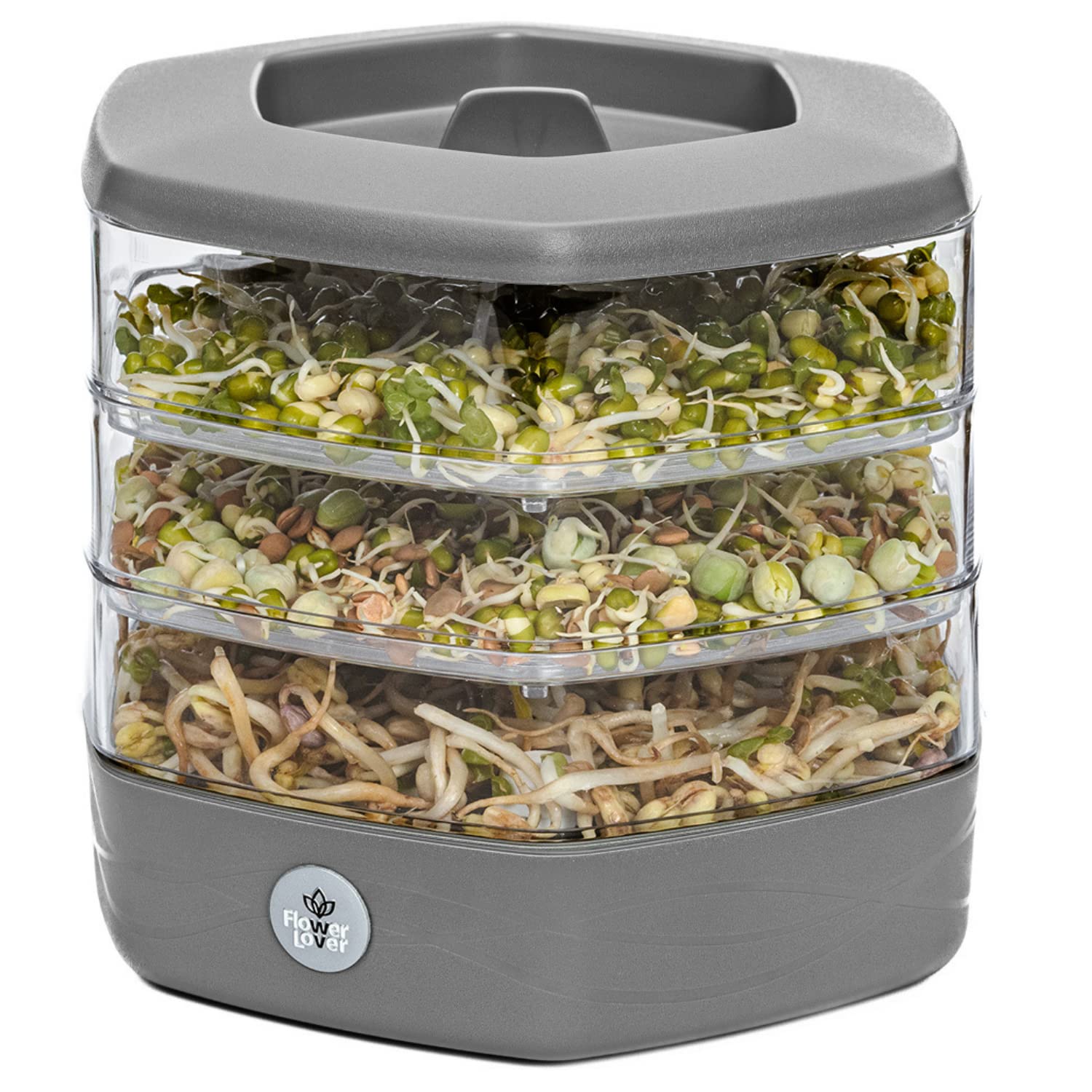 Three-level Seed Sprouter Tray with Lid ø17 cm - Design Set of 3 Germination Trays Made of Plastic for Growing Beans, Sprouts, Microgreens (Grey)