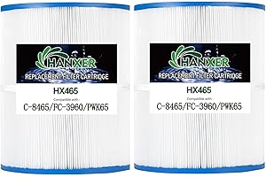 HANXER® PWK65 Spa Filter Cartridge Replaces for C-8465, Watkins 31114, Filbur FC-3960, 71827, 71828, 80651 Hot Tub Filter, Watkins 65 Sq.Ft Hot Spring Spa Filter, 2 Pack