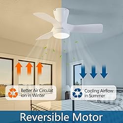 Dalouguan 31 inch Low Profile Ceiling Fans with