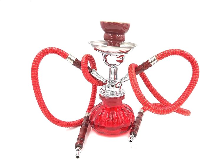 Hookah 2 Hose Set Glass Water Vase Tobacco Bong Smoking