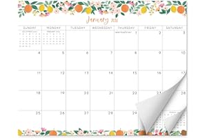 S&O Fruity Magnetic Fridge Calendar from January 2026-June 2027 - Tear-Off Refrigerator Calendar to Track Events & Appointmen