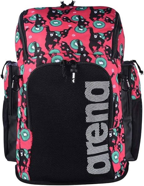 arena 45l backpack