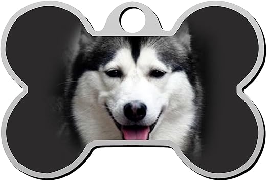 canadian pet tags
