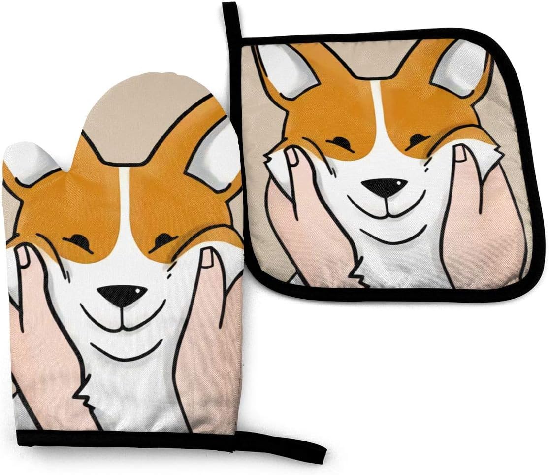 corgi squishy