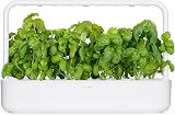 Click and Grow Basil Plant Pods 3-pack Smart Garden Brand New view 8